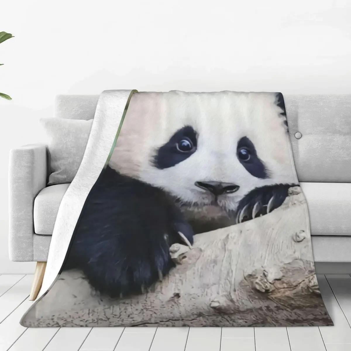 FuBao Panda Fu Bao ,   ,  ķο  ƴ ,    